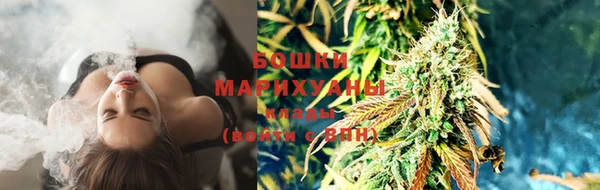 гашик Белокуриха