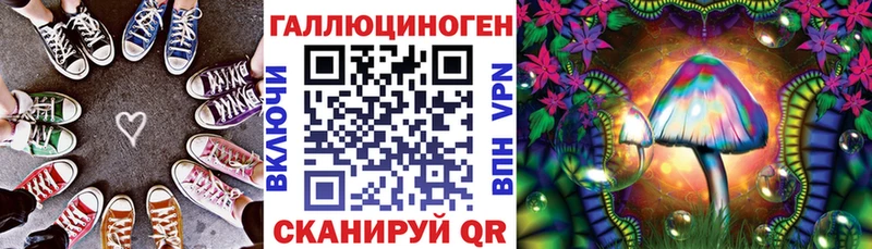 где купить наркоту  Никольское  Псилоцибиновые грибы Psilocybe 